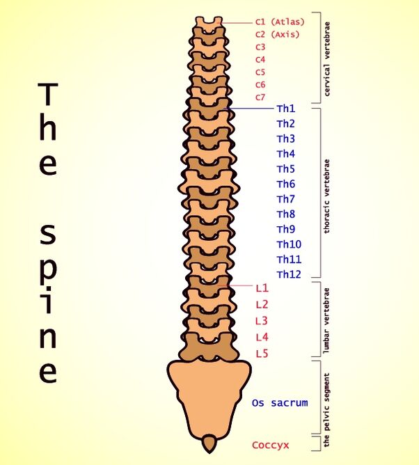 osteocondrose lumbar